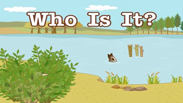 Who Is It