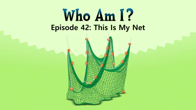 This Is My Net